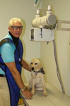 A Digital X-ray & In-House Laboratory is Available For Pet Care Diagnostics at San Pablo Animal Hospital